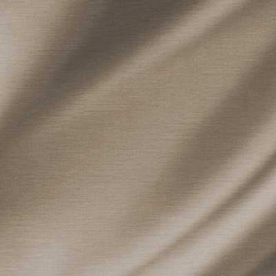 Chanel Taupe