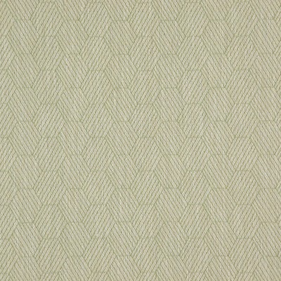 b711_izumi_dentsu_butorszovet_24_fern.jpg